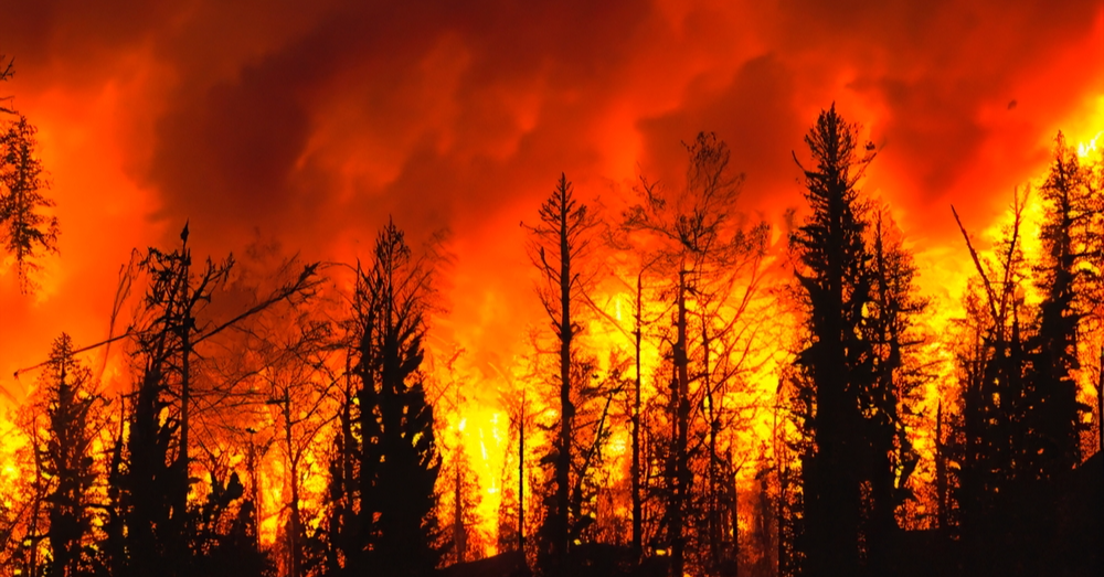 Climate Change Tinder For Greater Wildfire Risks