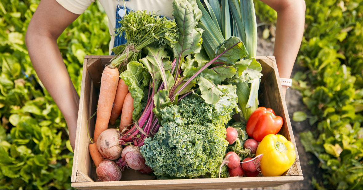 SST Concerns Put Spotlight On Food Security