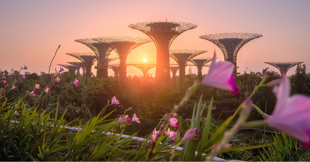 Singapore At 60