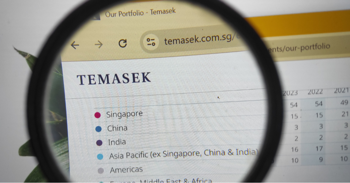 Clear Mandates and Governance Pillars, Essentials For A Sovereign Fund