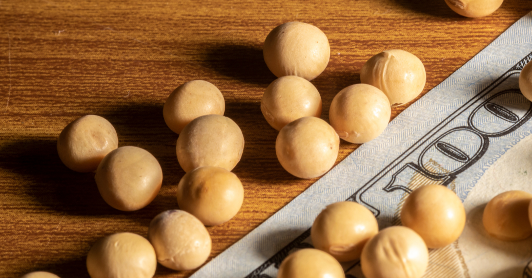 Changing Global Dynamics Affecting Soybeans and CPO