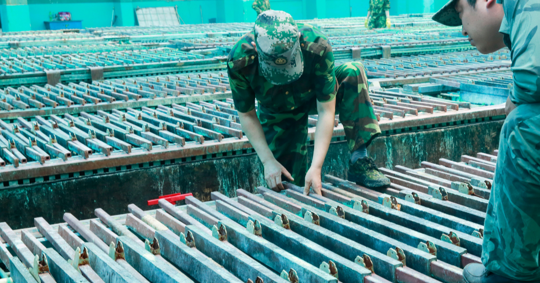 Global Race for Rare Earths Reshaping Supply Chains