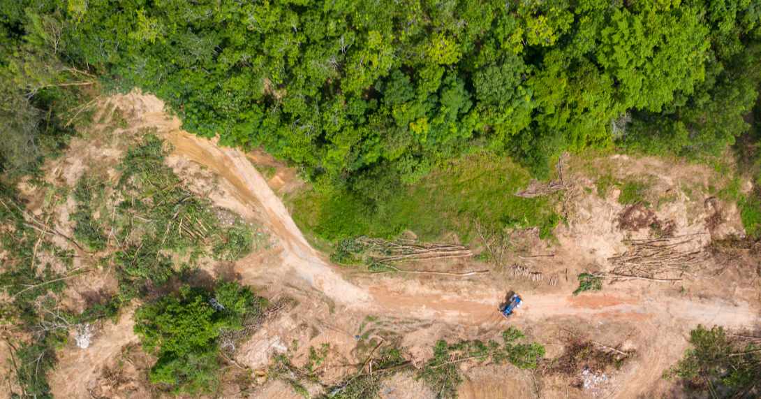 COP30, Still Relevant?