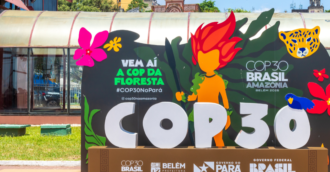 COP30, Uncertain Outcomes 