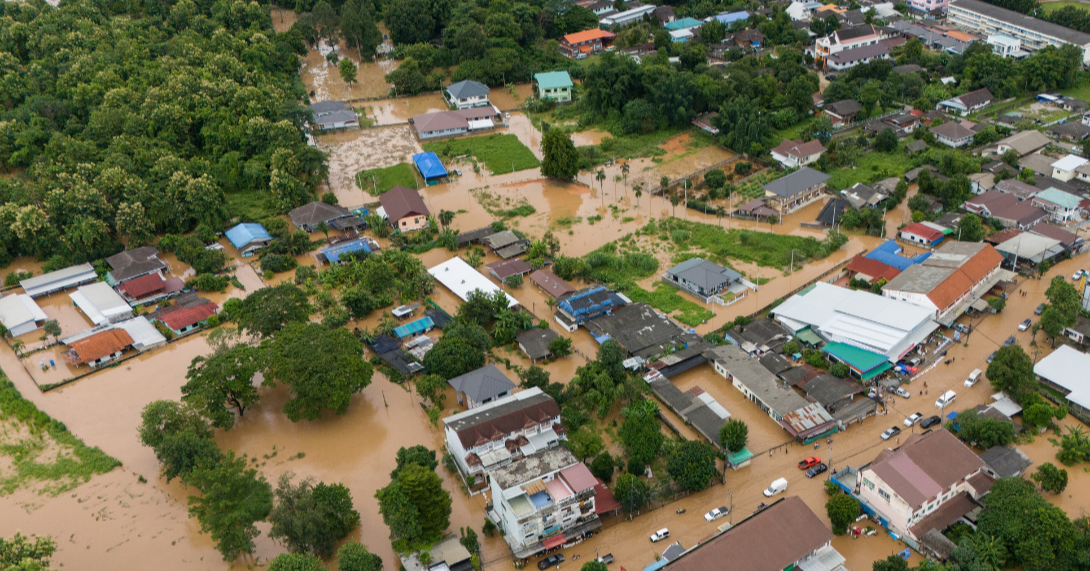 Lessons in Disaster Response