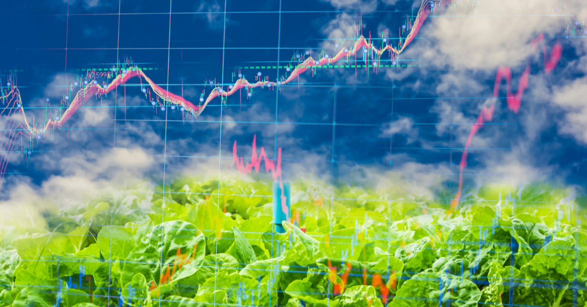 Assessing Malaysia's Food Security