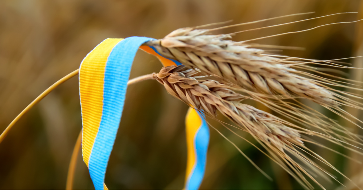 What Are The Prospects For Peace In Ukraine?