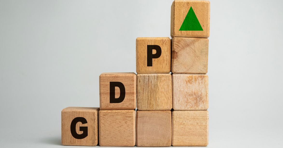 How Far Can Government Influence Affordability?