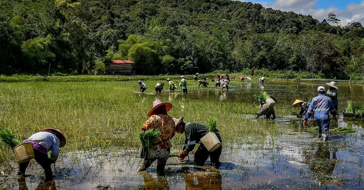 Bridging Urban & Rural Communities