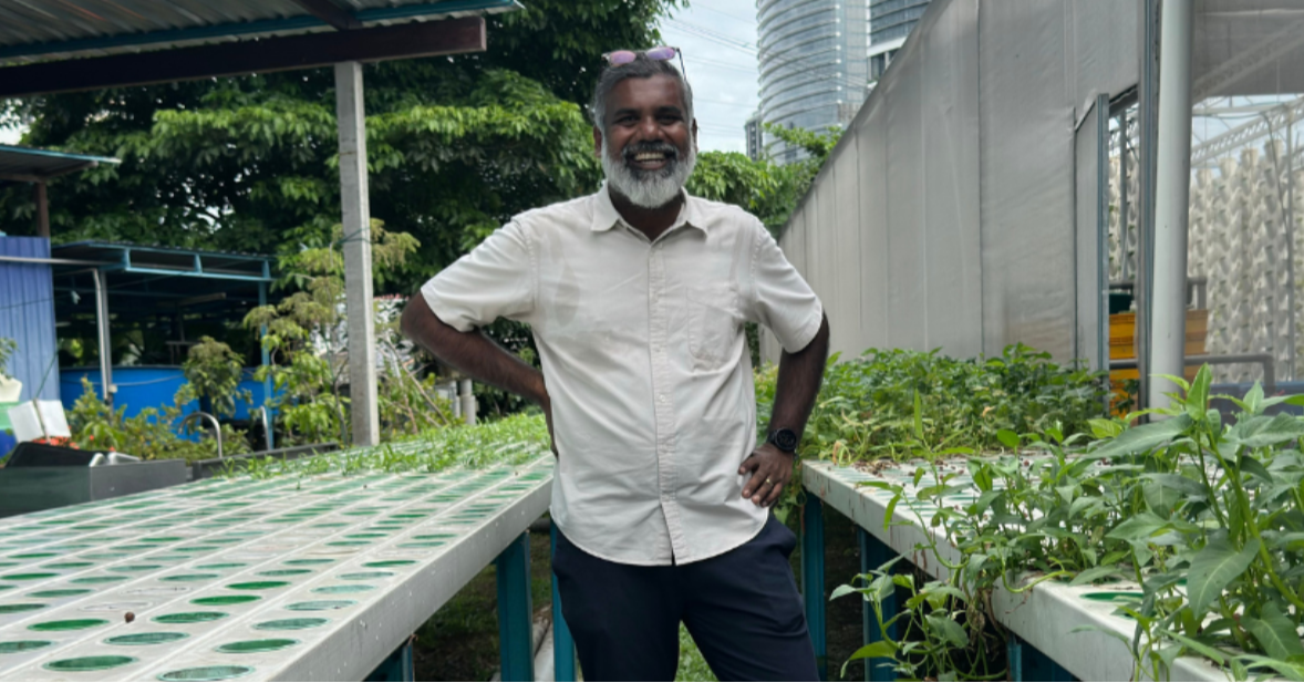 Greening The Grey — A Farm In The City