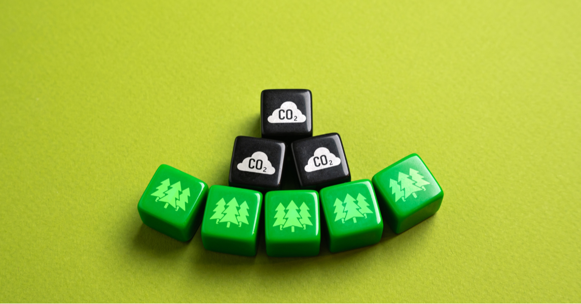 New Carbon Asset Law