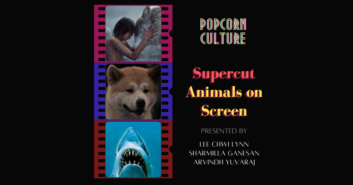 Supercut: Animals On Screen