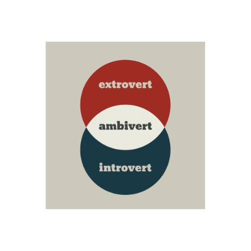 Introvert, Extrovert or Ambivert?