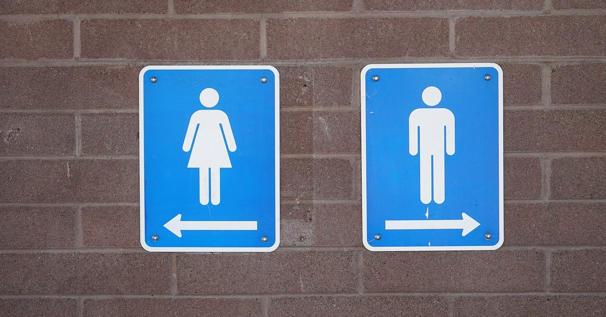 The Case For Public Toilets 