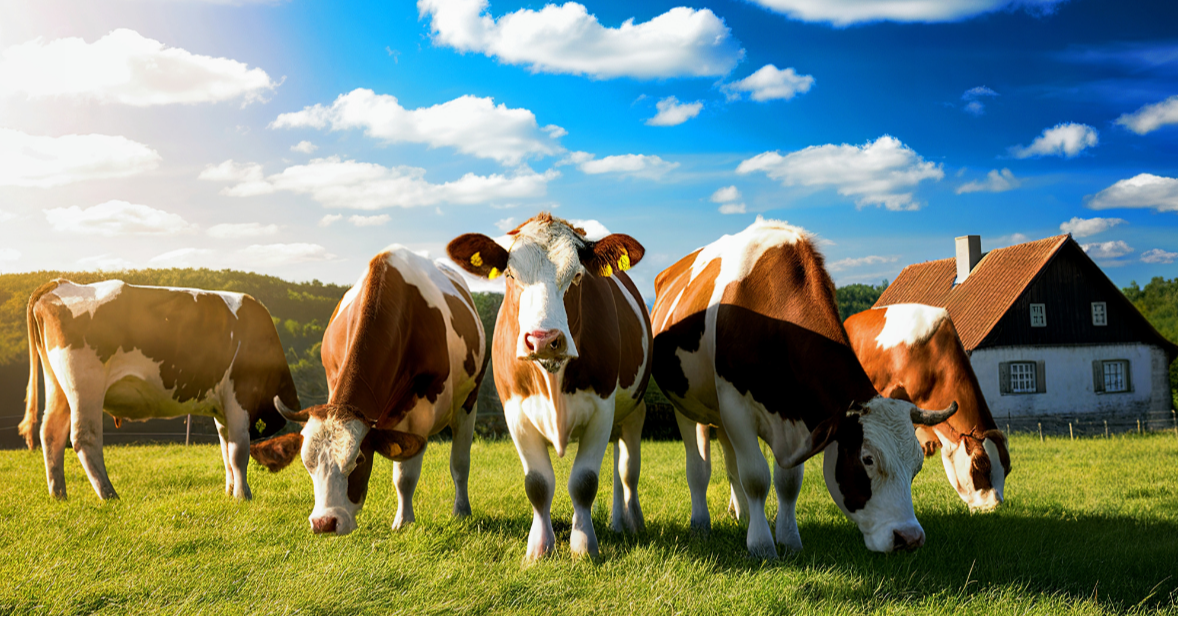 Farm Fresh On The Lookout For Deals 