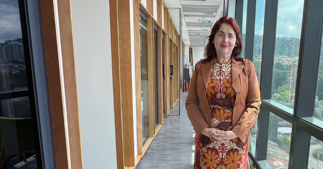 Romania at the Frontier of a New Hybrid War