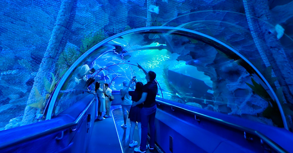 Aquawalk's IPO Proceeds to Add More Aquariums