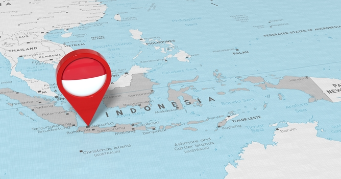 Prabowo's First Year : Navigating A New World Order