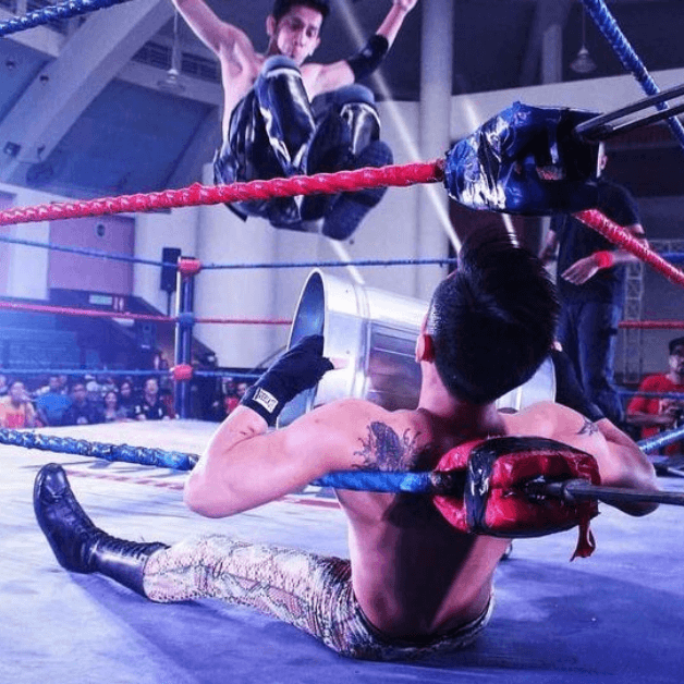 Pro-Wrestling is Fake. So Why Do We Love It?