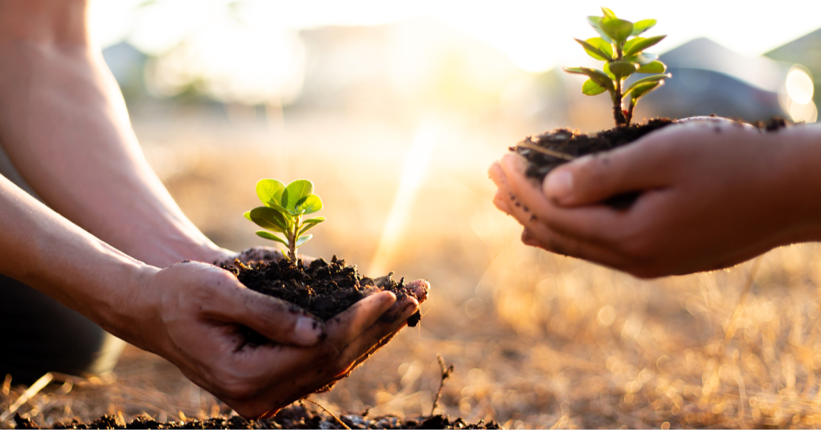Understanding Our Role In The Planet’s Health