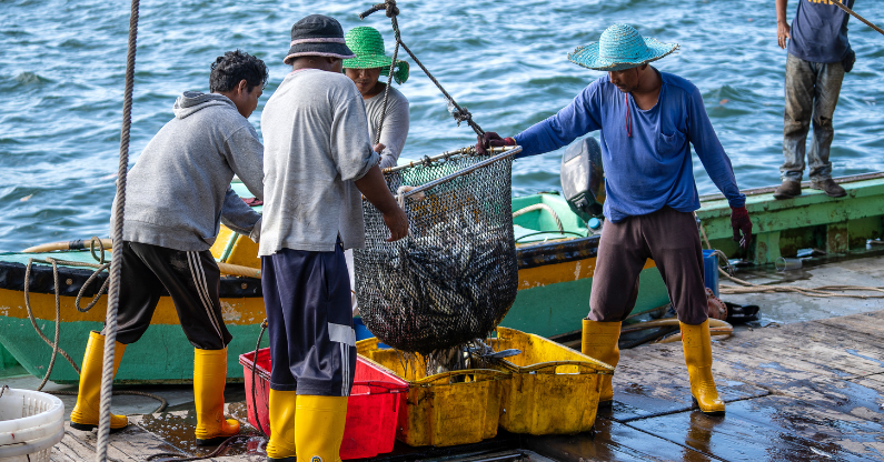 Top 5 At 5: The Plight of Pulau Pangkor's Fisher Folk
