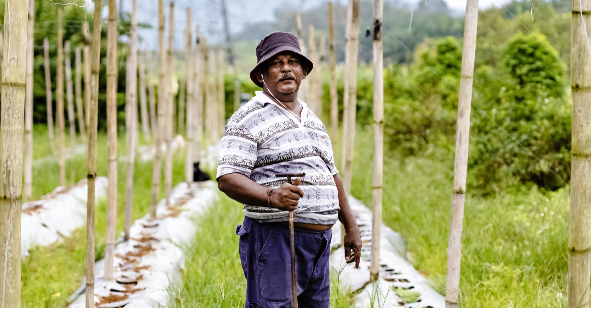 Top 5 at 5: Plantation Workers Housing Scheme Bill Submitted to the Government