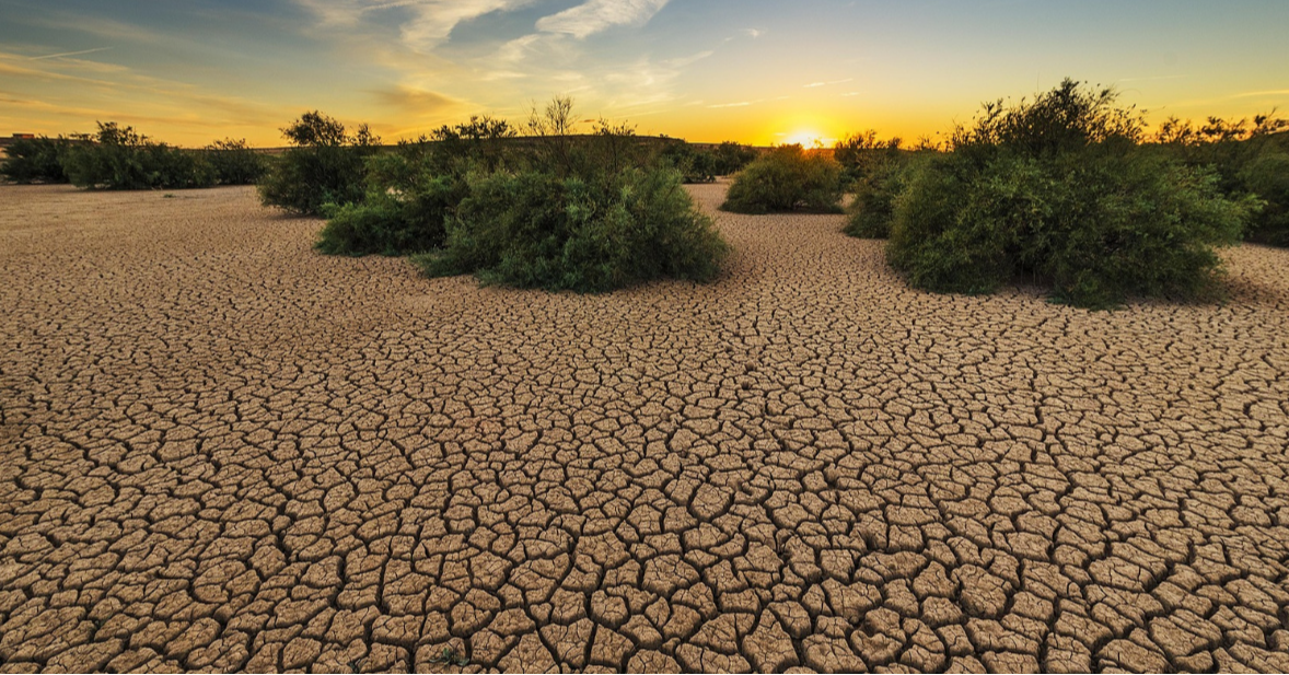 Top 5 at 5: Time to Accept the World's Water Bankruptcy